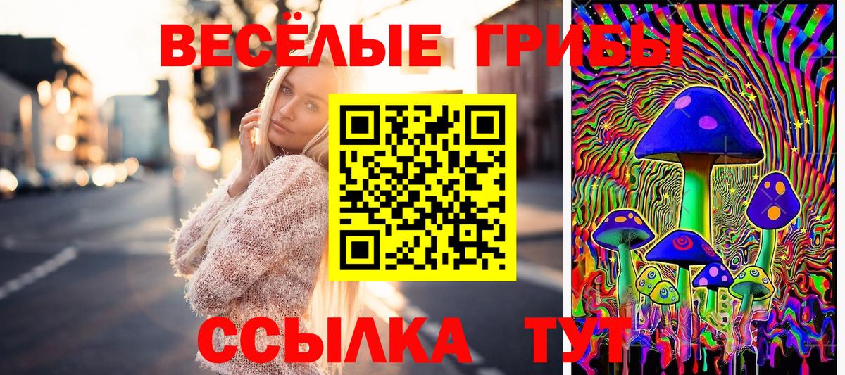 Псилоцибиновые грибы Psilocybine cubensis  Вход с VPN  Ессентуки 