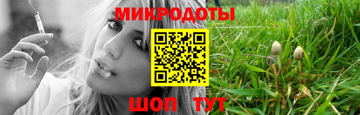 Галлюциногенные грибы Psilocybine cubensis Ессентуки